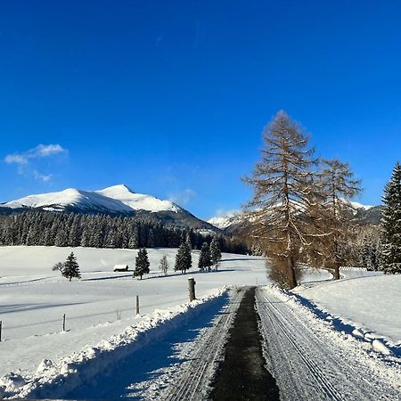 Feistritz am Kammersberg Chalet Am Teich Familie Gaenser 빌라 외부 사진