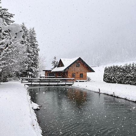 Feistritz am Kammersberg Chalet Am Teich Familie Gaenser 빌라 외부 사진
