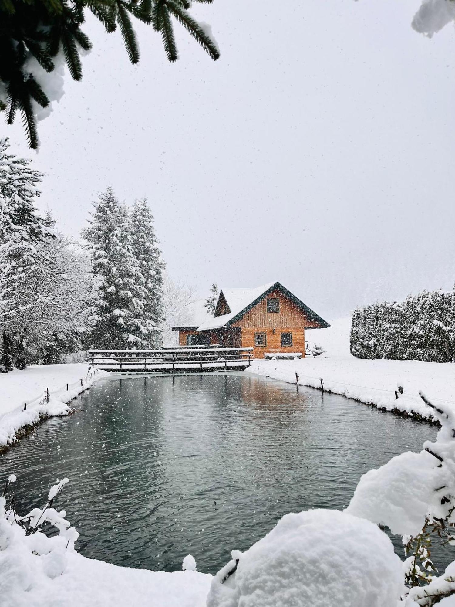 Feistritz am Kammersberg Chalet Am Teich Familie Gaenser 빌라 외부 사진