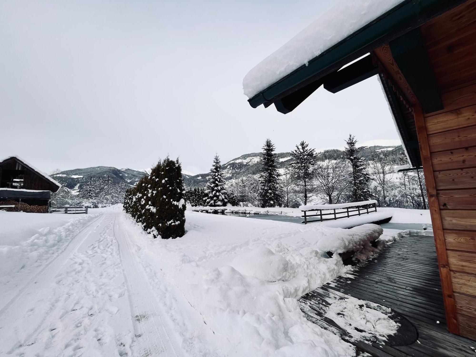 Feistritz am Kammersberg Chalet Am Teich Familie Gaenser 빌라 외부 사진